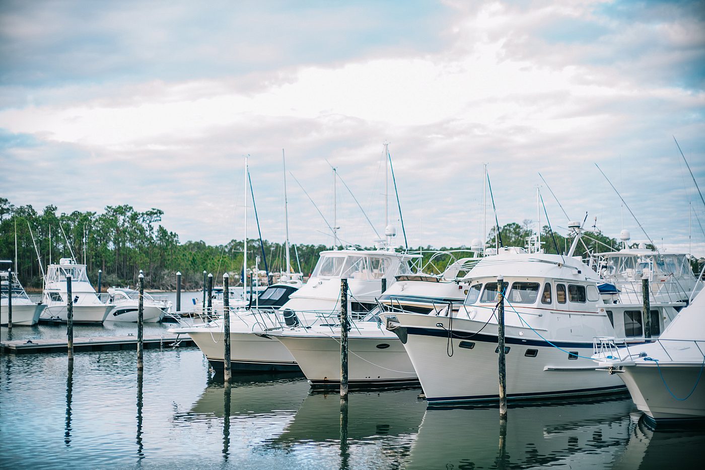 The Wharf Orange Beach Slip Request